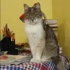 Отзыв от Оксана Глушкова